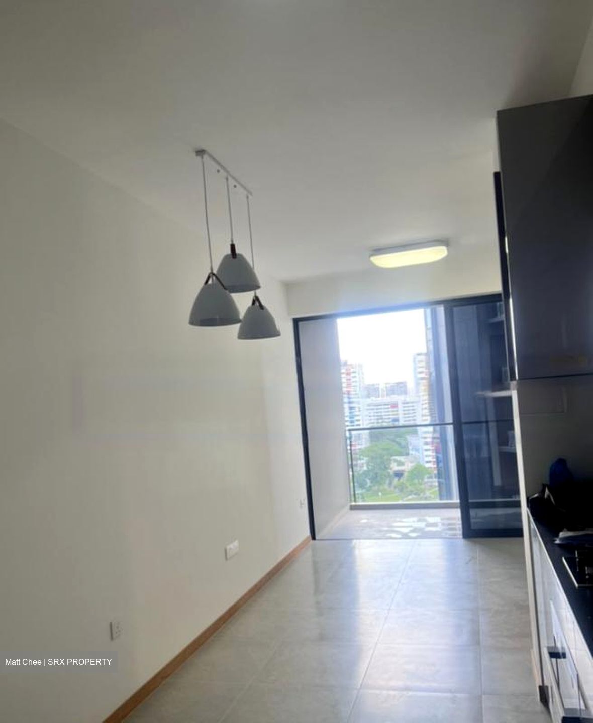 The Antares (D14), Apartment #480266331